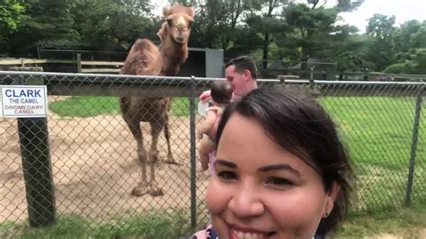 petting zoos on long island